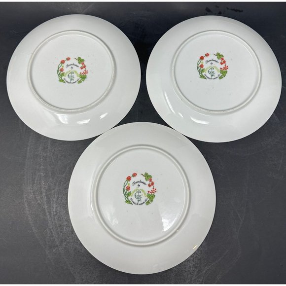 Vtg 1970s SEYMOUR MANN EDA FRAMBOISIER Salad Dessert Plates Set of 3 Raspberries - Picture 2 of 16